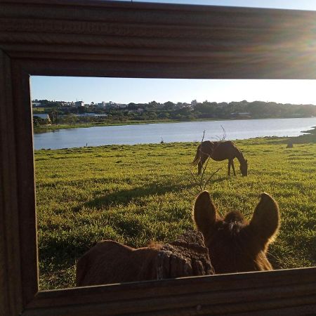 Hostel Santuario De Protecao Animal Filhos De Salomao Bragança Paulista Dış mekan fotoğraf