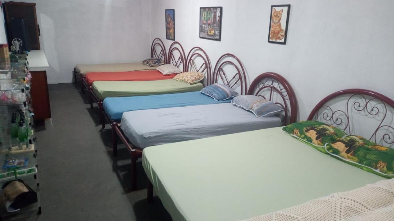 Hostel Santuario De Protecao Animal Filhos De Salomao Bragança Paulista Dış mekan fotoğraf