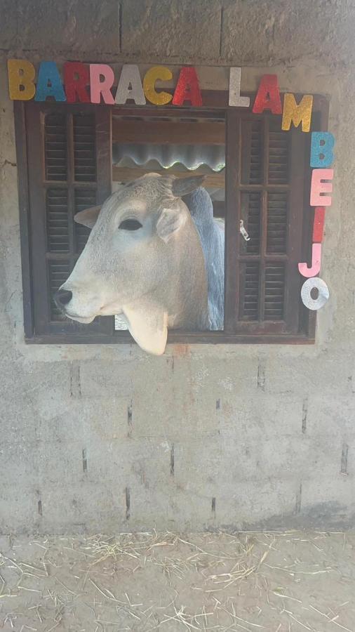 Hostel Santuario De Protecao Animal Filhos De Salomao Bragança Paulista Dış mekan fotoğraf