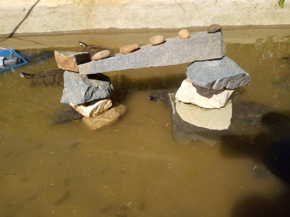 Hostel Santuario De Protecao Animal Filhos De Salomao Bragança Paulista Dış mekan fotoğraf